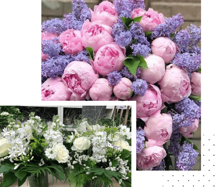 Votre fleuriste à Tubize – Fleurs Tordeurs